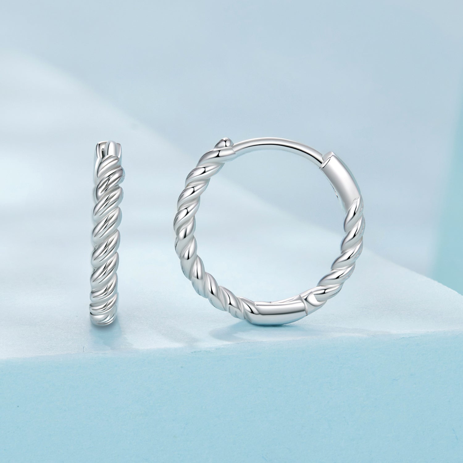 Twisted Hoop Earrings